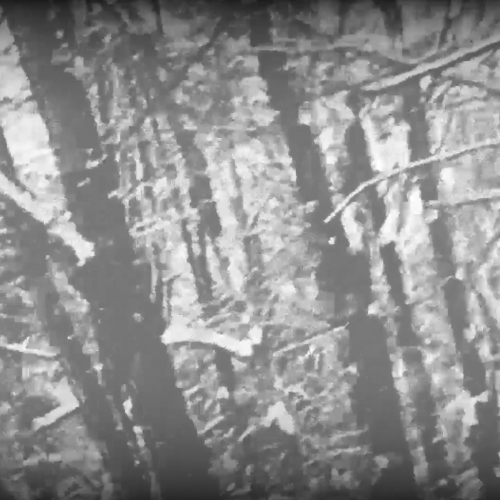 Screenshot 2026-01-04 at 5.03.43 PM