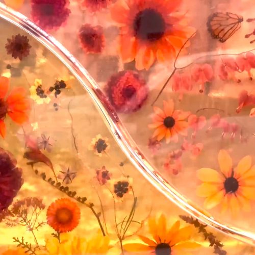 lydia- still dec 22 stabilized_s3_f120_chr-2 slowed down